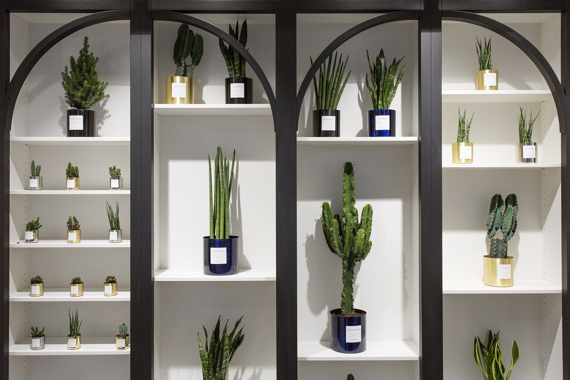 Boutique By Charlot, concept végétal intemporel