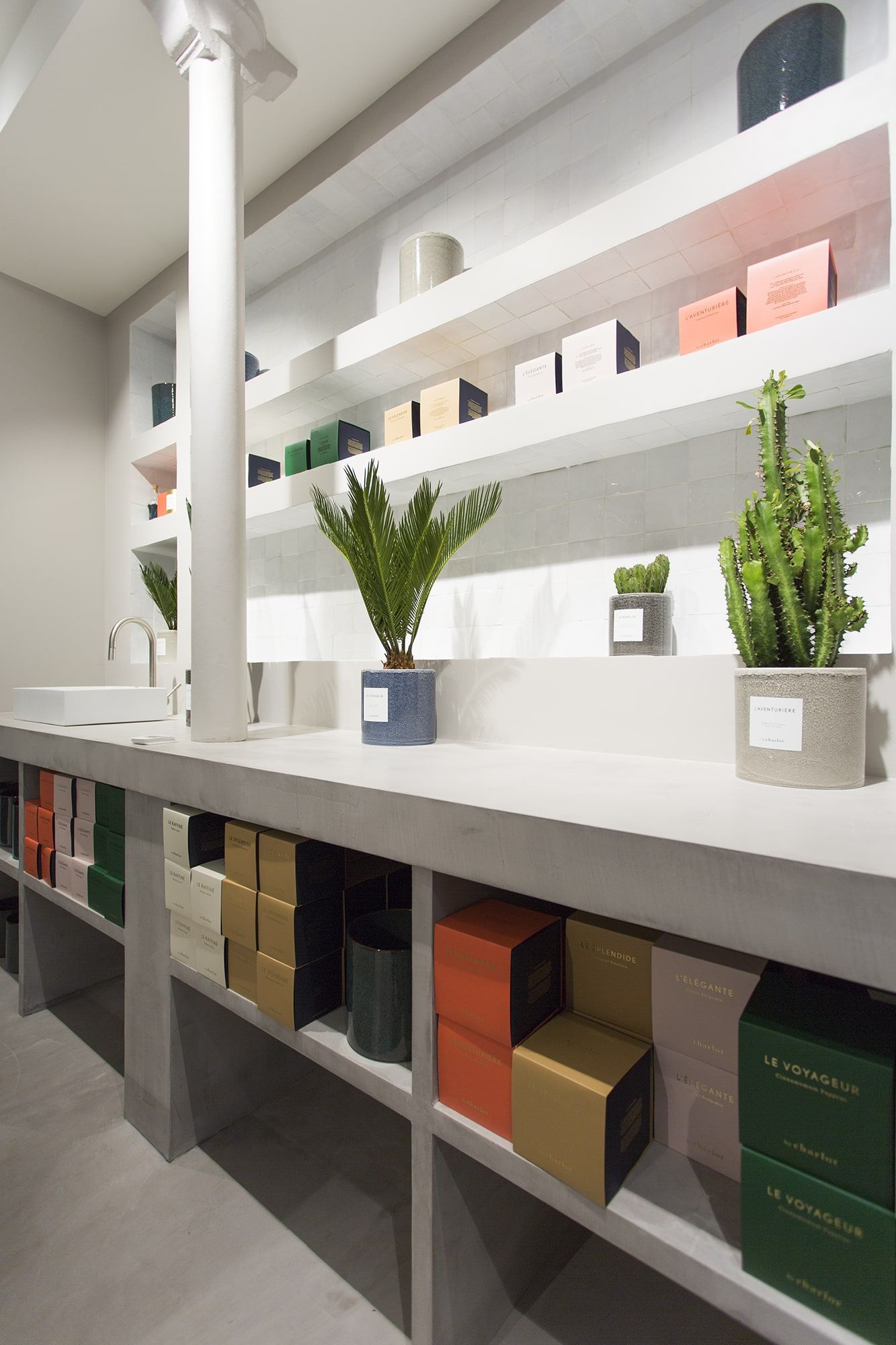 Présentation des plantes, boutique By Charlot