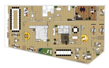 Quelle est la Différence entre le Macro-zoning et le Micro-zoning ?