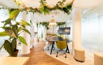 Le design biophilique dans les bureaux
