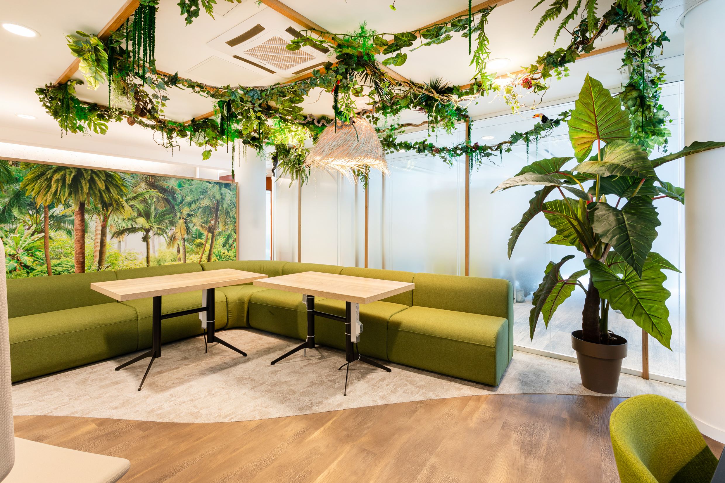 Espace informel végétalisé de la jungle room Free