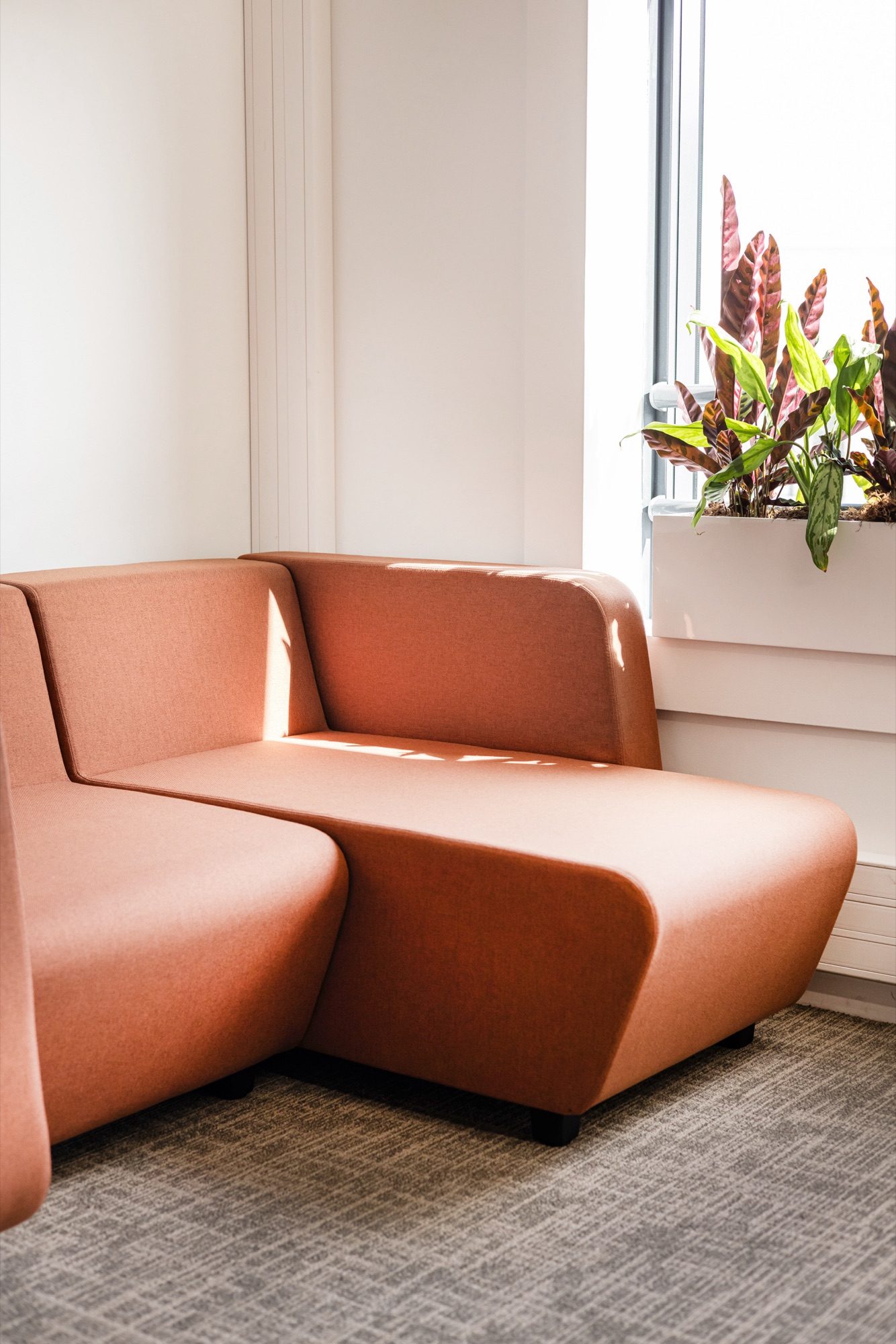 Canapé modulaire terracotta devant une baie vitrée, bureaux d'un laboratoire