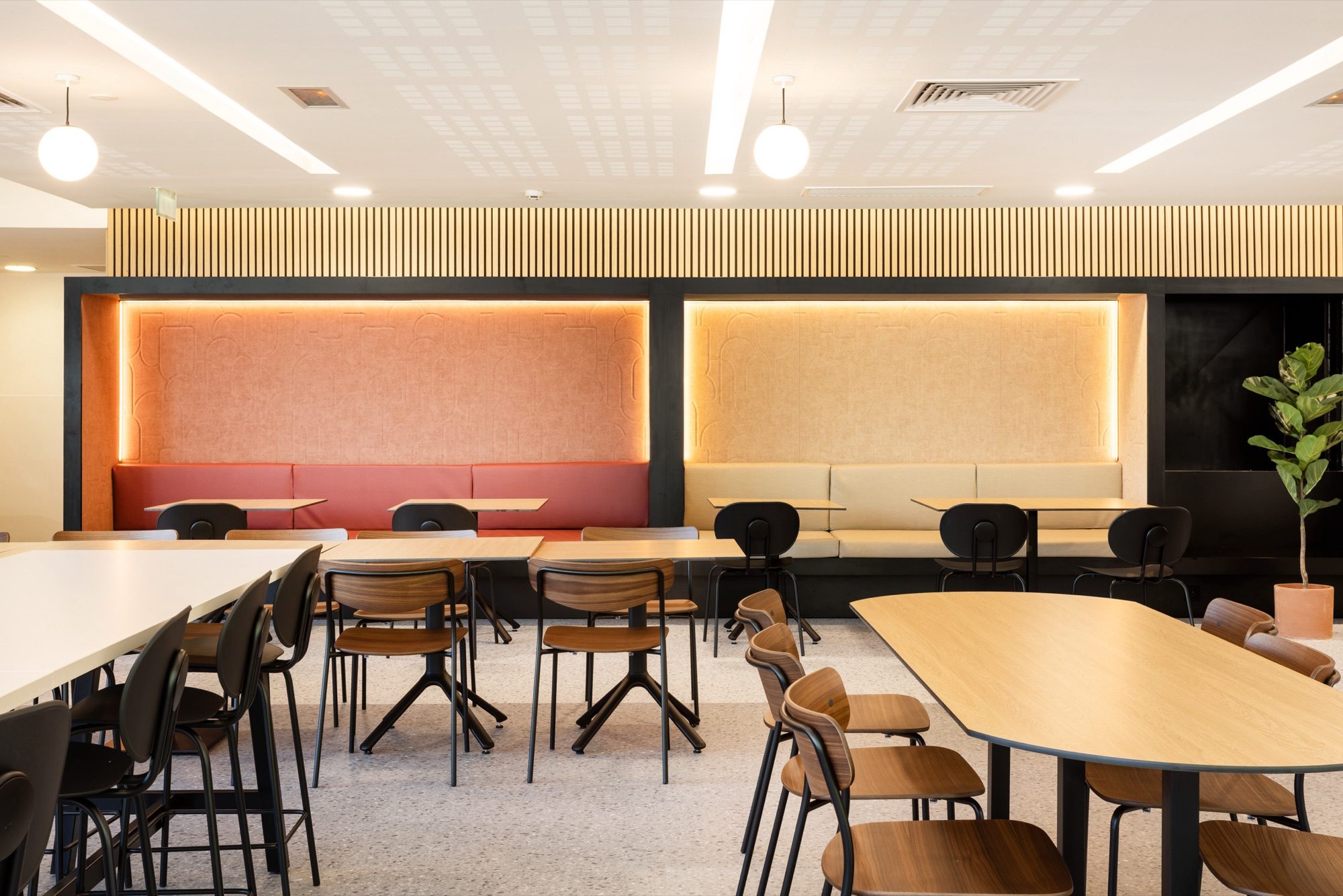 Banquettes du RIE devant des panneaux muraux acoustiques colorés rétroéclairés
